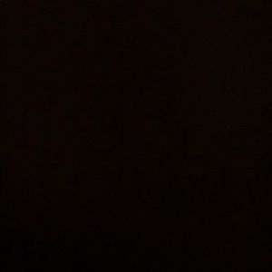 Meet your Posher, Nyla